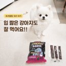 덥석육포 | 입 짧은 강아지도 잘 먹은 츄브클럽 오리 저키 솔직 후기