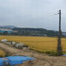 동남1리 경로당 이미지