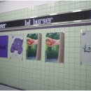 강남-239 이미지