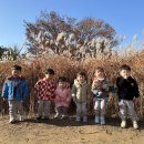 수반농장 이미지