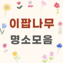 대림3농장 | 이팝나무 명소 알아보기