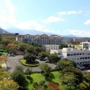 유니콘택트 이미지