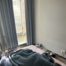 122 | 분당이사 후기, 동판교로 122에서 직접 경험한 안정적인 선택 ⭐️