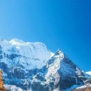 청용농장 이미지