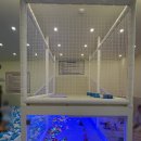 바니바니 | [안양/평촌/범계베이비카페] 바니바니베이비카페 후기