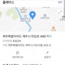 제주헬로우펫