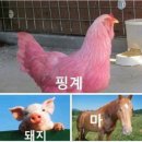 쌍용자동차 정비사업소 이미지