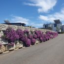 뜨락애별 이미지