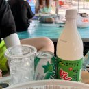 월성계곡산장 | 거창맛집 백숙먹으면서 여름물놀이계곡 월성계곡산장 다녀온 후기