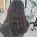 레비브레헤어