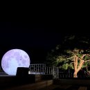 탕정그집쭈꾸미 아산직영점 이미지