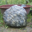 석질농장 이미지