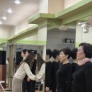 옥마벚길 이미지