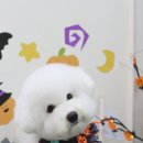 샵 세린파크 이미지