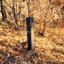 강정보 녹색길 이미지