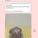 꼬미네까까 이미지