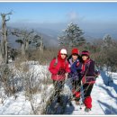 산울림목장 이미지