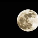 펫어디가 이미지