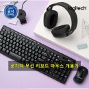 mk글로벌 | 조용한 업무 공간을 완성해준 로지텍 MK295 무소음 무선 콤보 후기