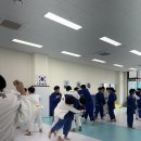 원팀 유도 센터 이미지