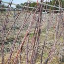 혜주농장 이미지