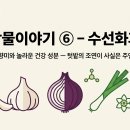 주연수선 - 용인시 기흥구 서천서로12번길 8 | 주연수선
