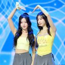 서이 Daum카페