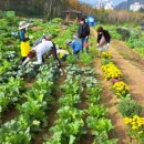 기흥농장 이미지