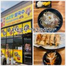 내고향쌀국수 | 원주문막 "내고향쌀국수" 점심식사로 쌀국수와 새우짜조 먹었어요!