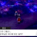 플레이바우