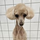 반자주 진해점 이미지