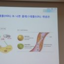 식약동원 이미지