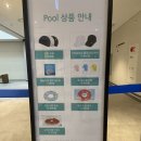 5살 아이와 거제 한화벨버디어 인앤아웃도어풀 후기