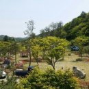 주막거리캠프 이미지