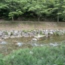 자연(애)장수 이미지