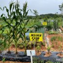 이창우농장 이미지