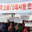 중간상사리 이미지