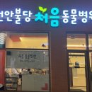 멍냥스테이 애견호텔유치원 이미지