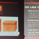 김동건피부과의원