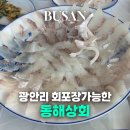 광안리 회 맛집 광안리 회포장 민락회타운 동해상회 솔직후기