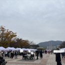 예산초 단풍나무길 | 천안 독립기념관 단풍나무숲길 방문 후기