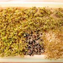 나무향기 이미지