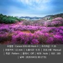 봄이머무는언덕 Daum카페