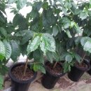 희정농장 이미지