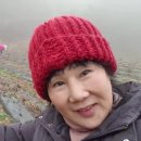 목단농장 이미지