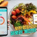 다함께 점핑점핑 이미지