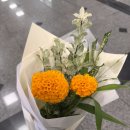 헬레나플라워 | 갤러리아백화점 헬레나플라워, 엄마 생신 선물로 준비한 메리골드 후기🌸