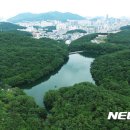 생명과 공존의 숲( 이미지