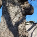 석계2리 이미지