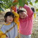 석천농장 이미지